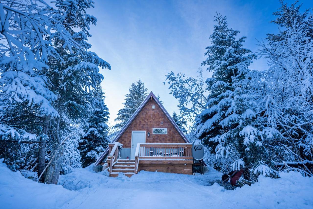 Glacier Creek Cabins Seward Exterior foto