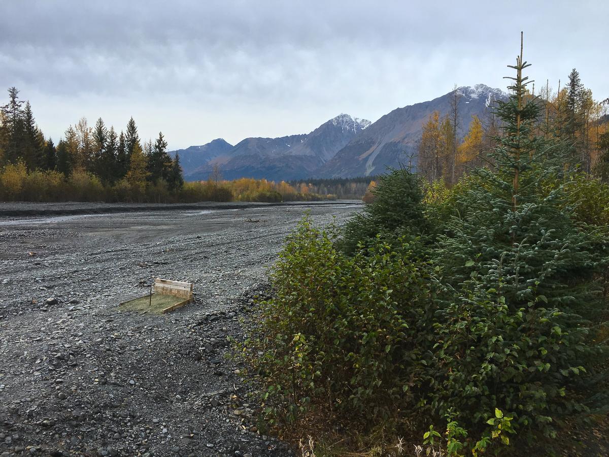 Glacier Creek Cabins Seward Exterior foto